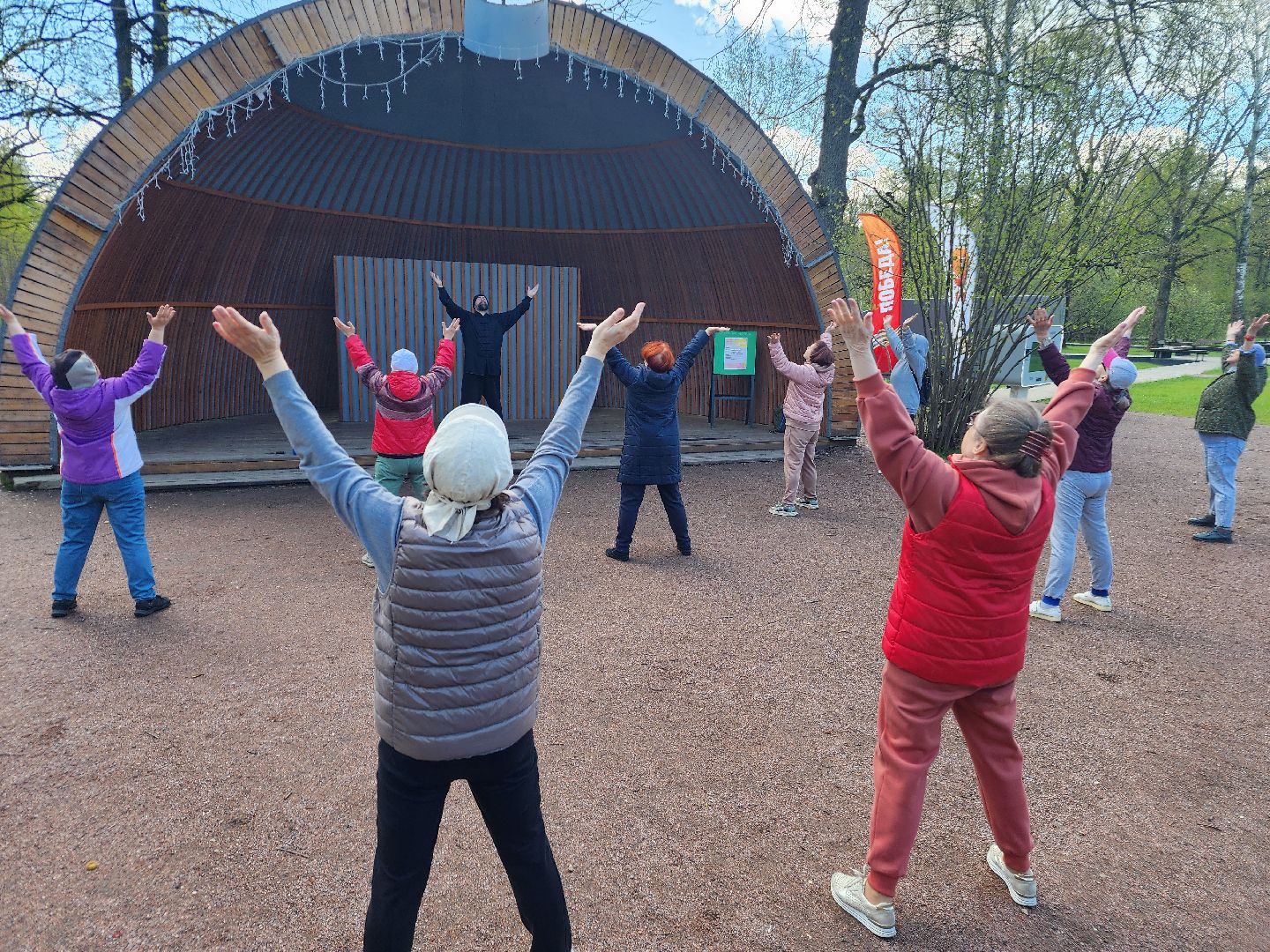 фрязино, лесопарк, гимнастика, физкультура,