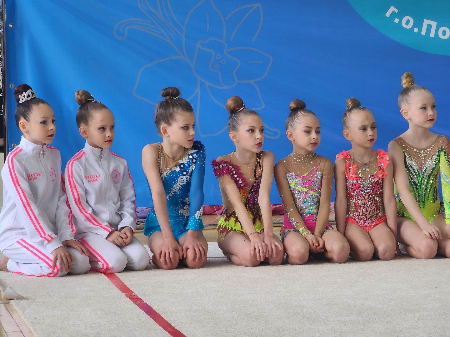 Подольск , Соревнования, художественная гимнастика,