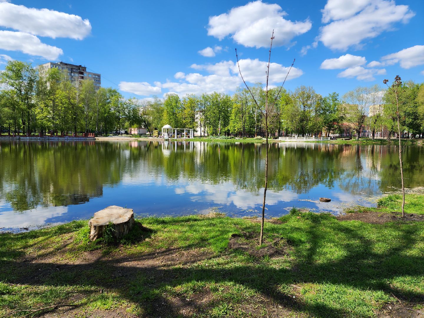 раменское, благоустройство, всероссийское голосование за объекты благоустройства , береговая зона озера пионер,