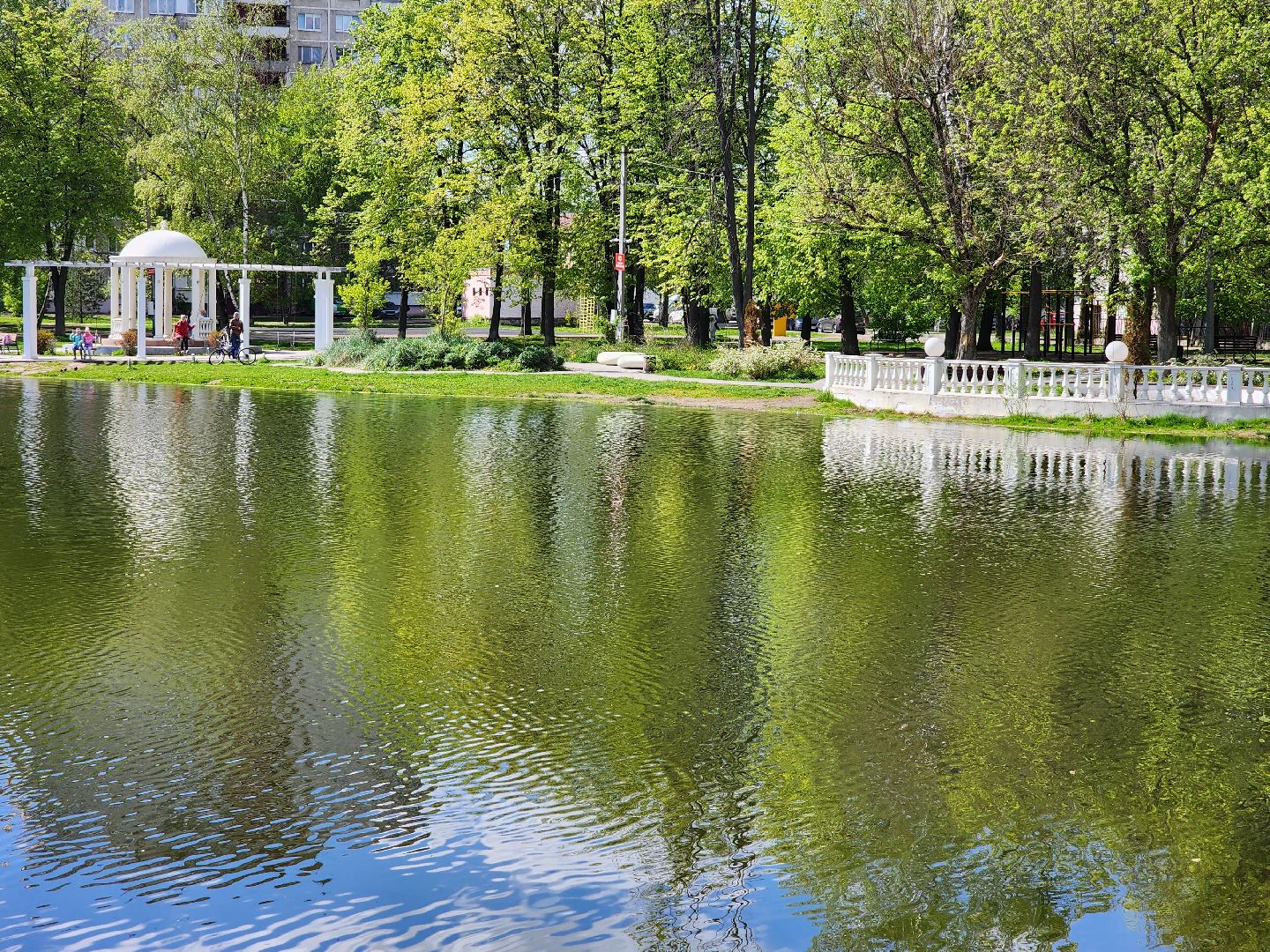 раменское, благоустройство, всероссийское голосование за объекты благоустройства , береговая зона озера пионер,
