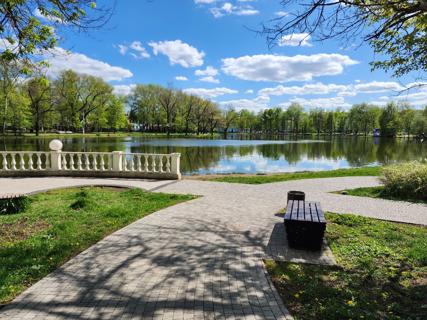 раменское, благоустройство, всероссийское голосование за объекты благоустройства , береговая зона озера пионер,