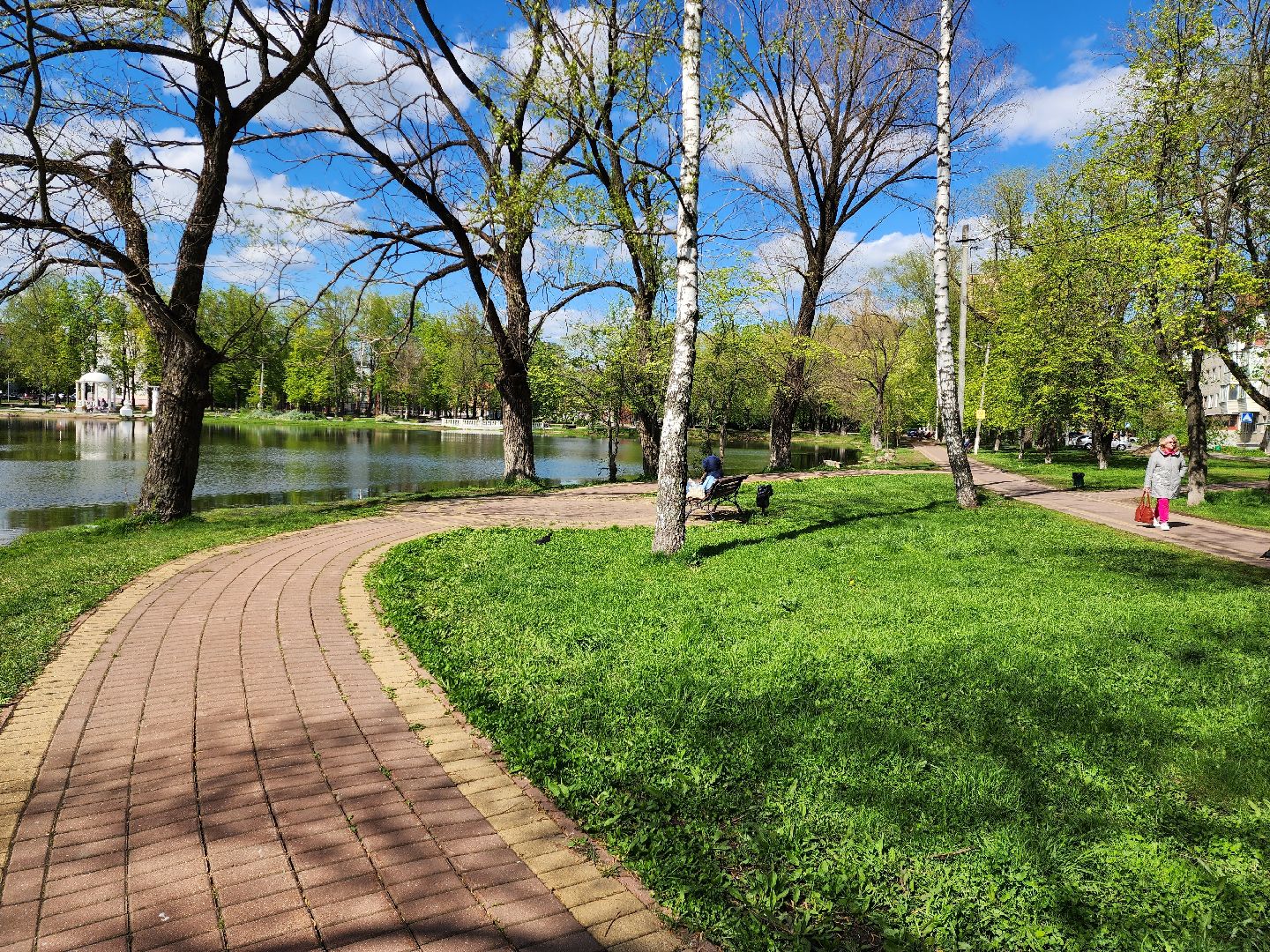 раменское, благоустройство, всероссийское голосование за объекты благоустройства , береговая зона озера пионер,