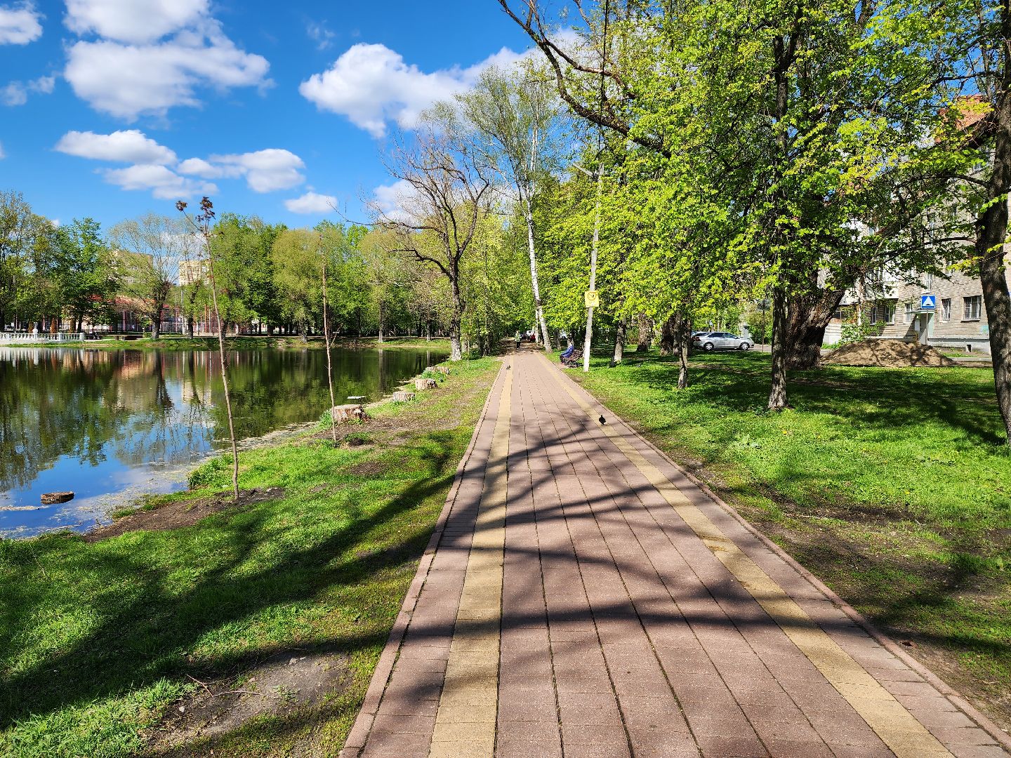 раменское, благоустройство, всероссийское голосование за объекты благоустройства , береговая зона озера пионер,