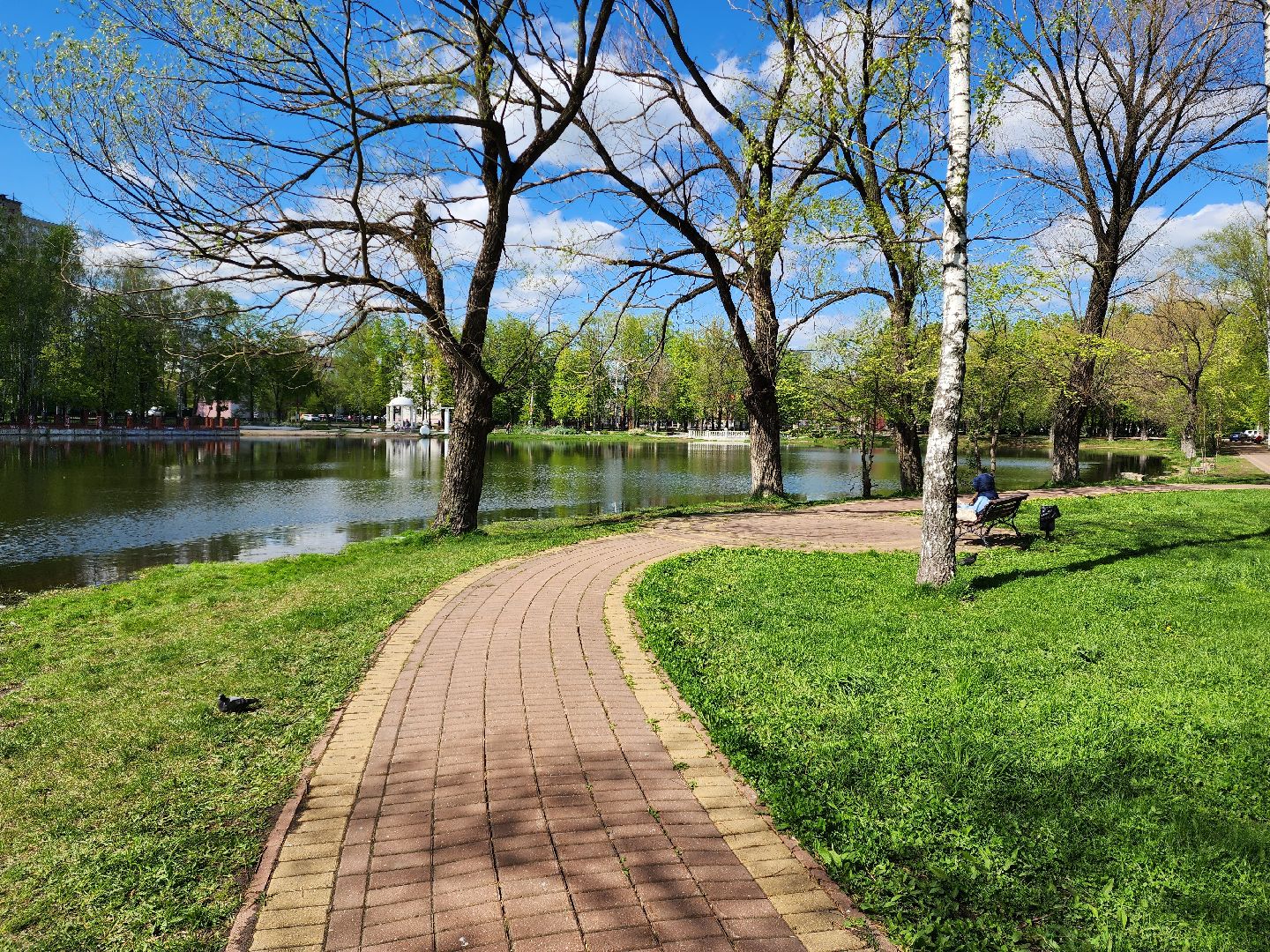 раменское, благоустройство, всероссийское голосование за объекты благоустройства , береговая зона озера пионер,