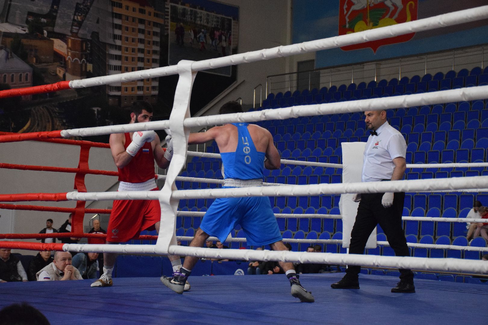 Павловский Посад, городской округ Павловский Посад, спорт, бокс, соревнования, Чемпионат Московской области