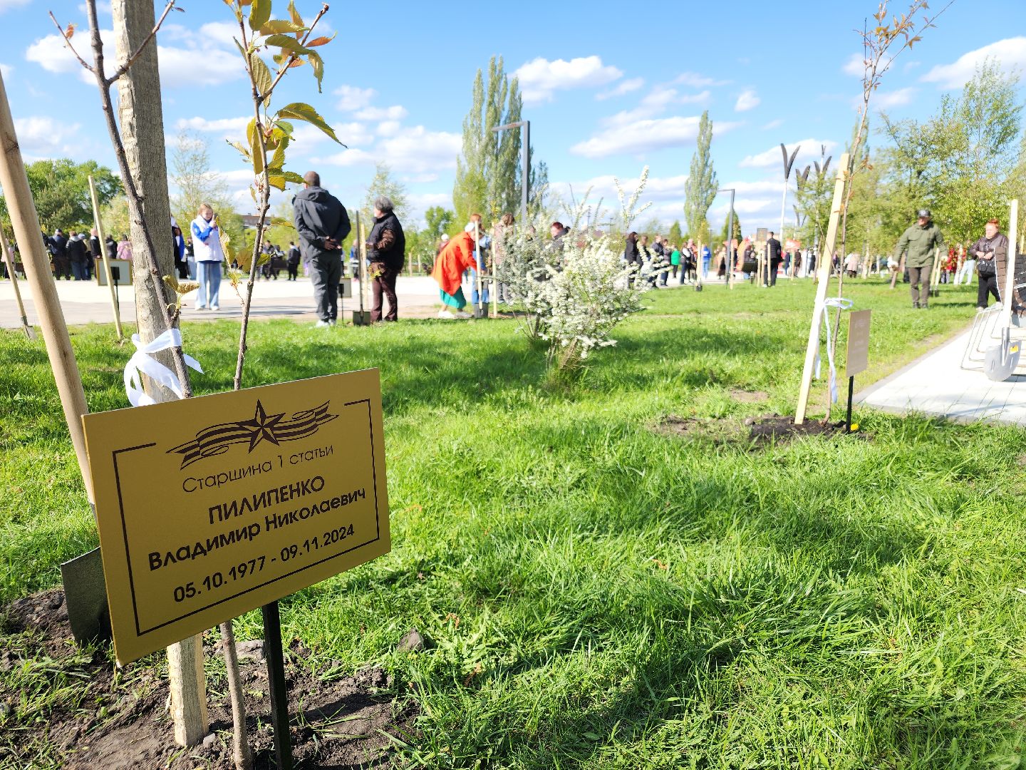 аллея памяти, орехово-зуево,