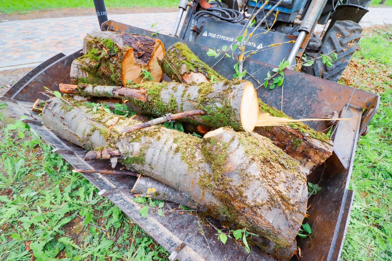 клин, общество, чп, устранение последствий снегопада,