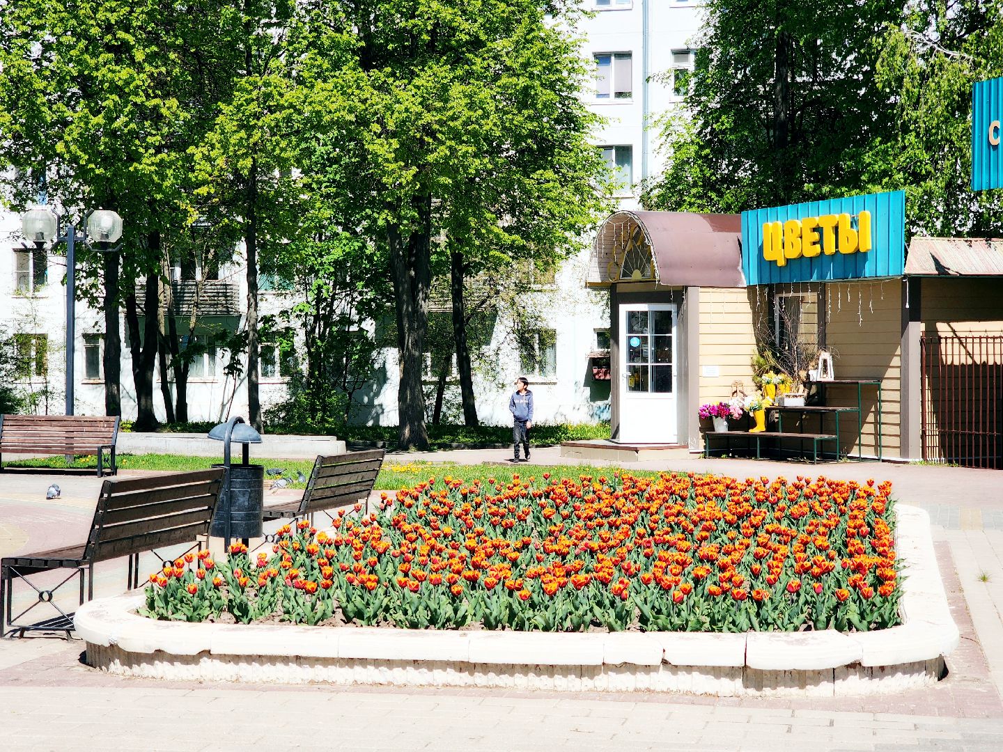 пущино , серпухов, благоустройства, цветы,