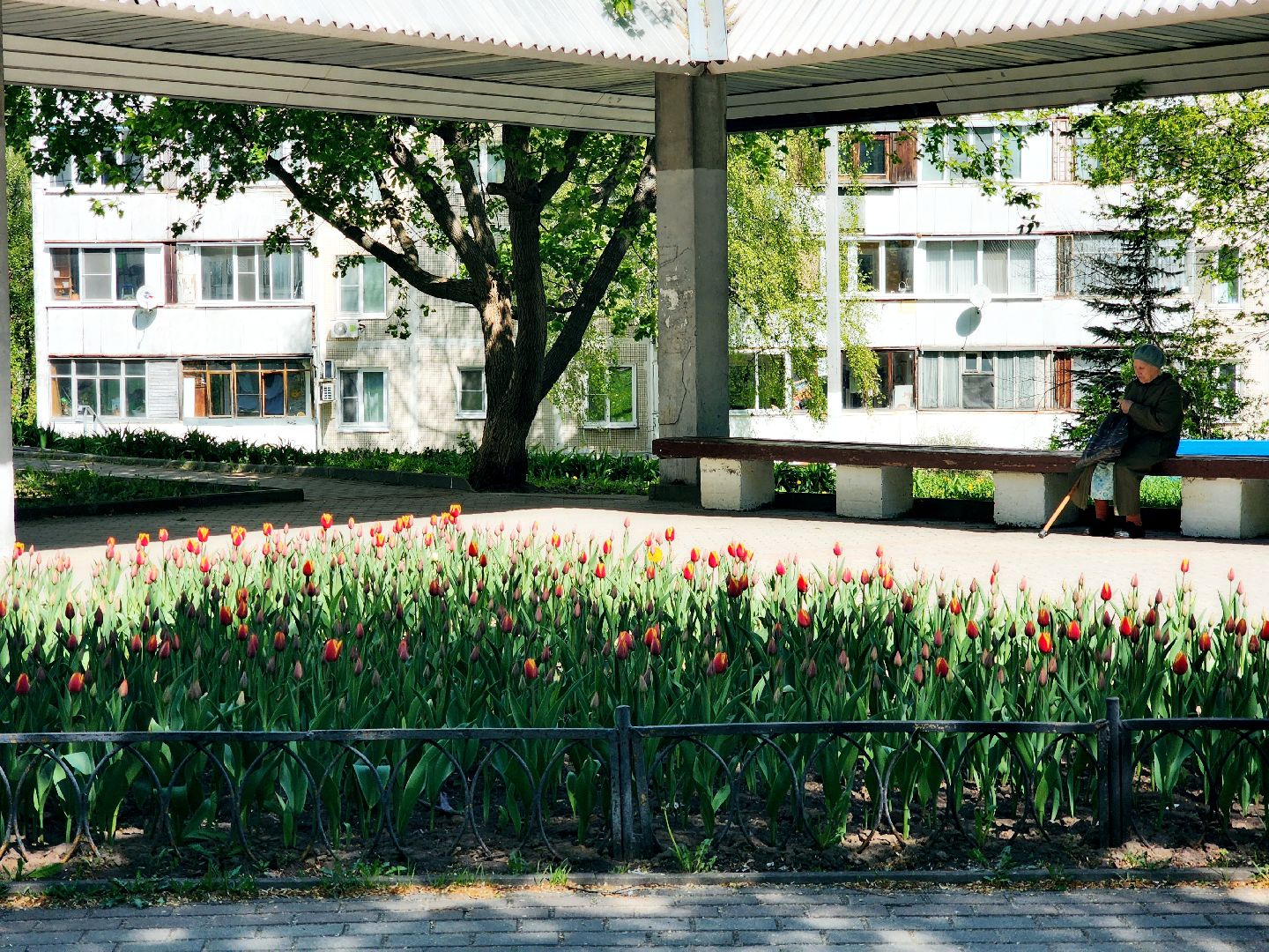 пущино , серпухов, благоустройства, цветы,