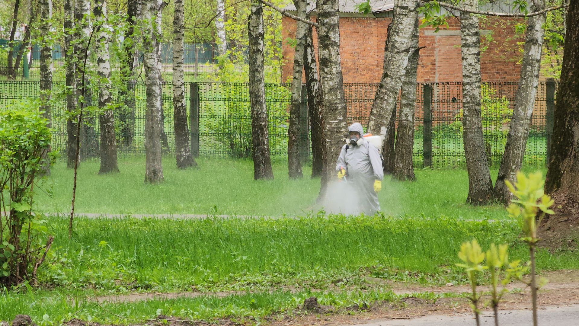 павловский  посад, парк победы, обработка ,