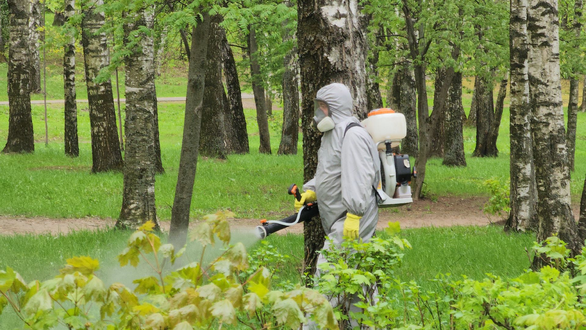 павловский  посад, парк победы, обработка ,