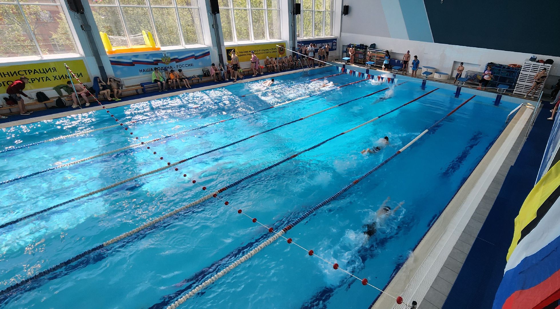 Химки, Спорт, Плавание,