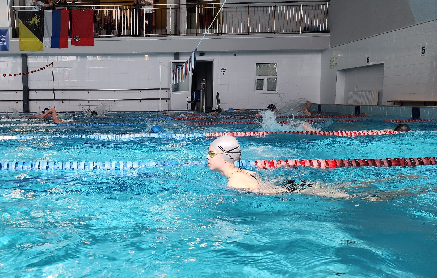 Химки, Спорт, Плавание,