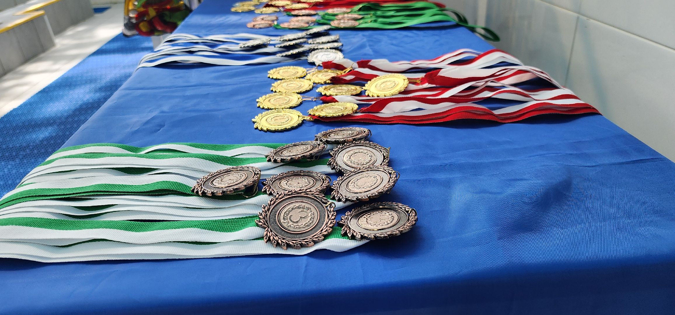 Химки, Спорт, Плавание,