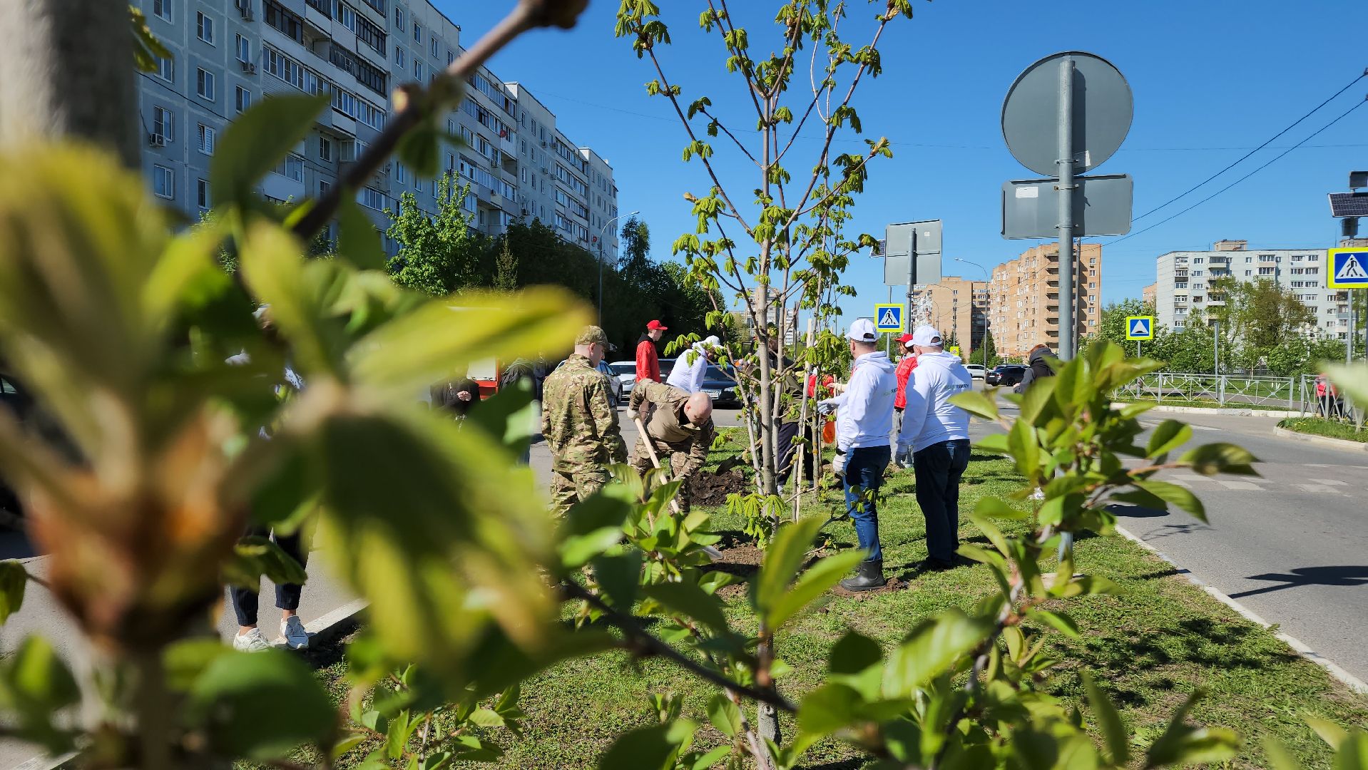 ступино, сад памяти, день победы,