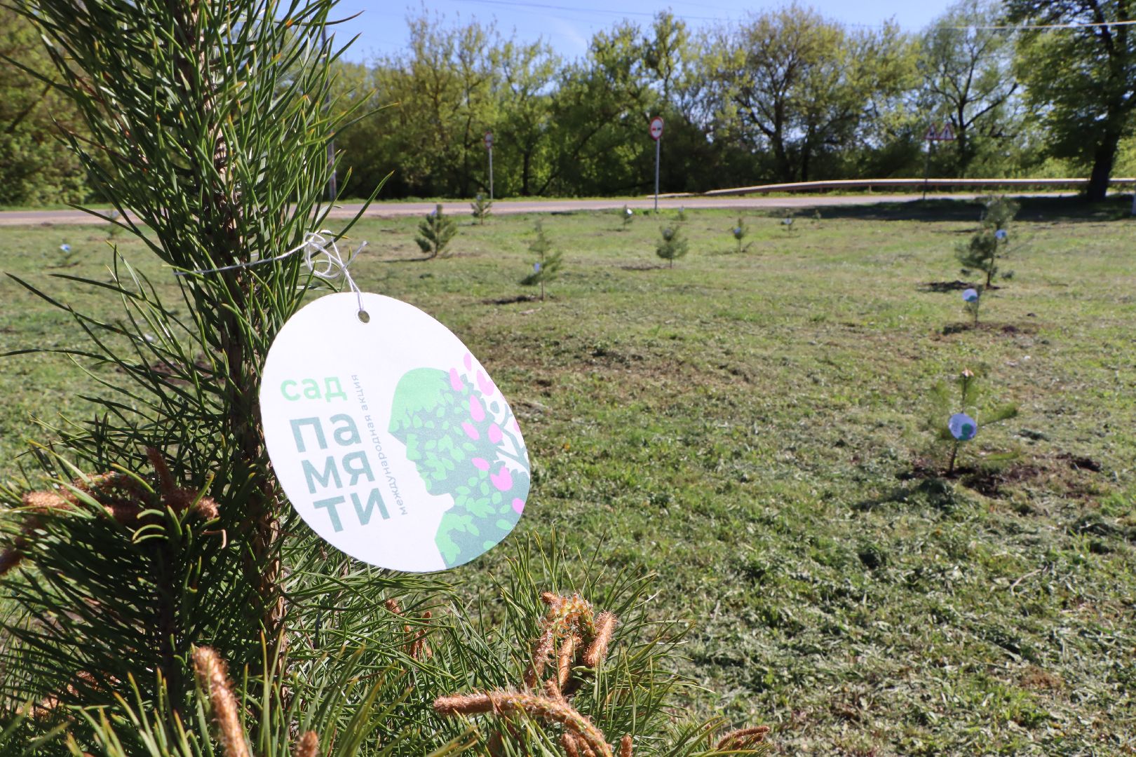 серебряные пруды, сад памяти, 80 лет победе,