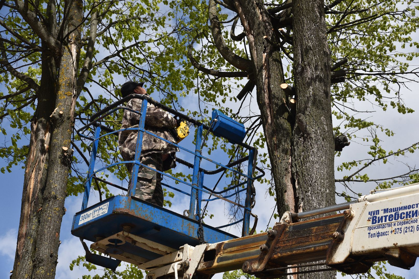 лотошино, благоустройство, кронирование, день победы,