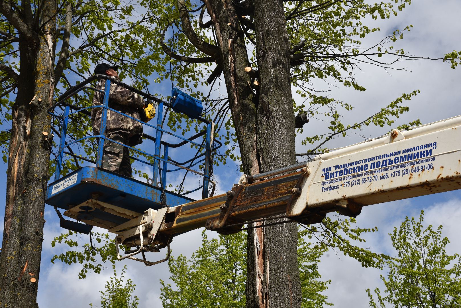 лотошино, благоустройство, кронирование, день победы,