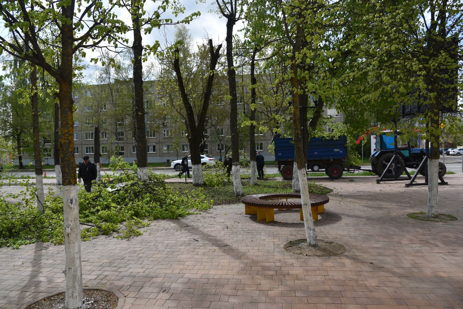 лотошино, благоустройство, кронирование, день победы,