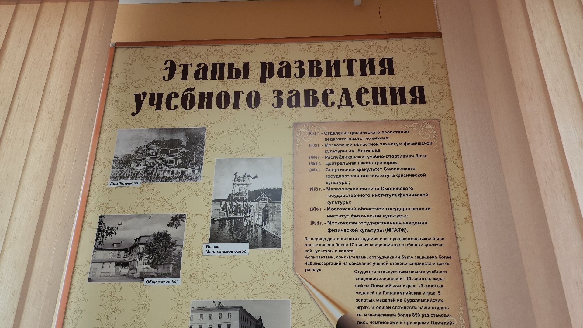 Люберцы, мгафк, выставка,