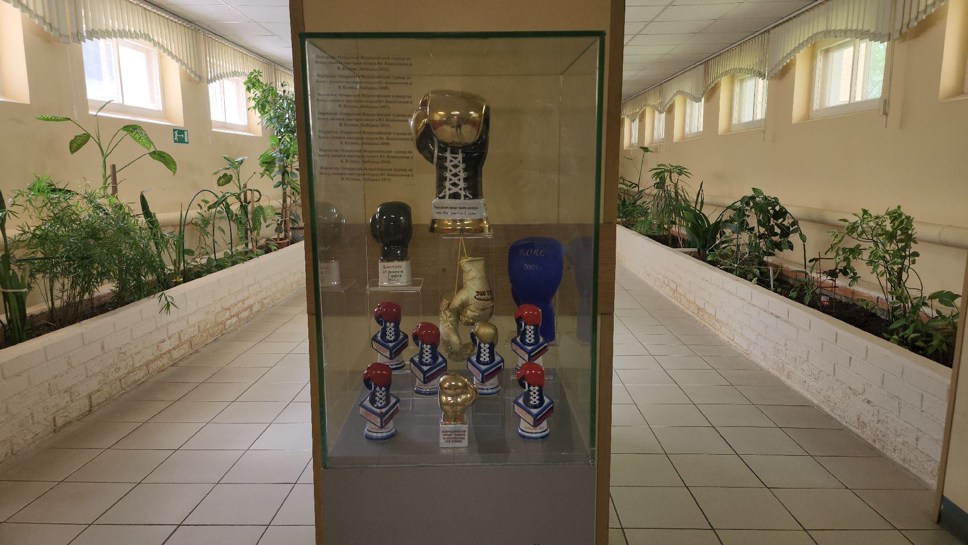 Люберцы, мгафк, выставка,