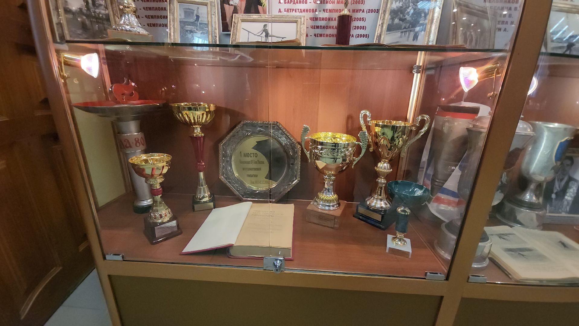 Люберцы, мгафк, выставка,