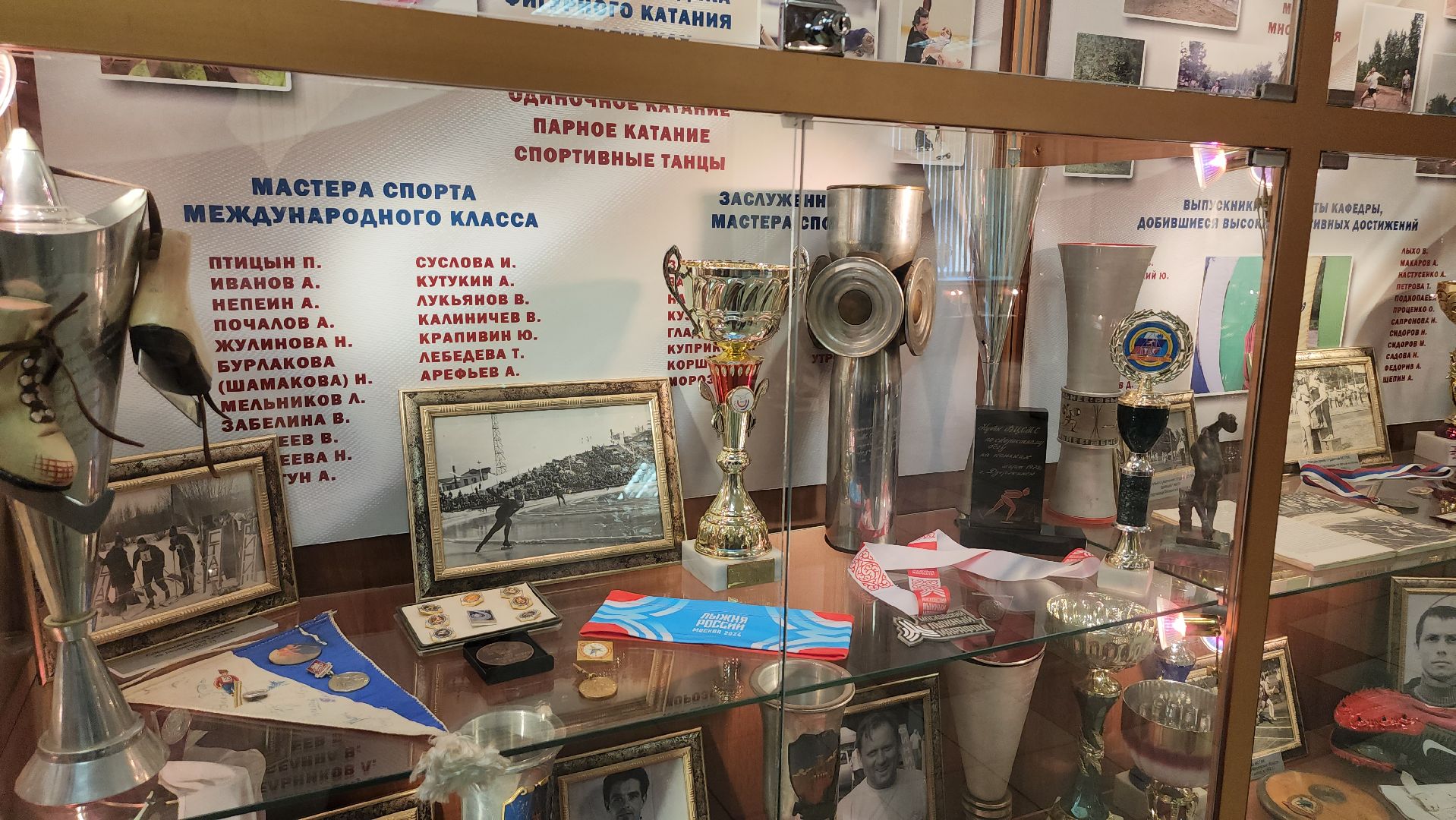 Люберцы, мгафк, выставка,