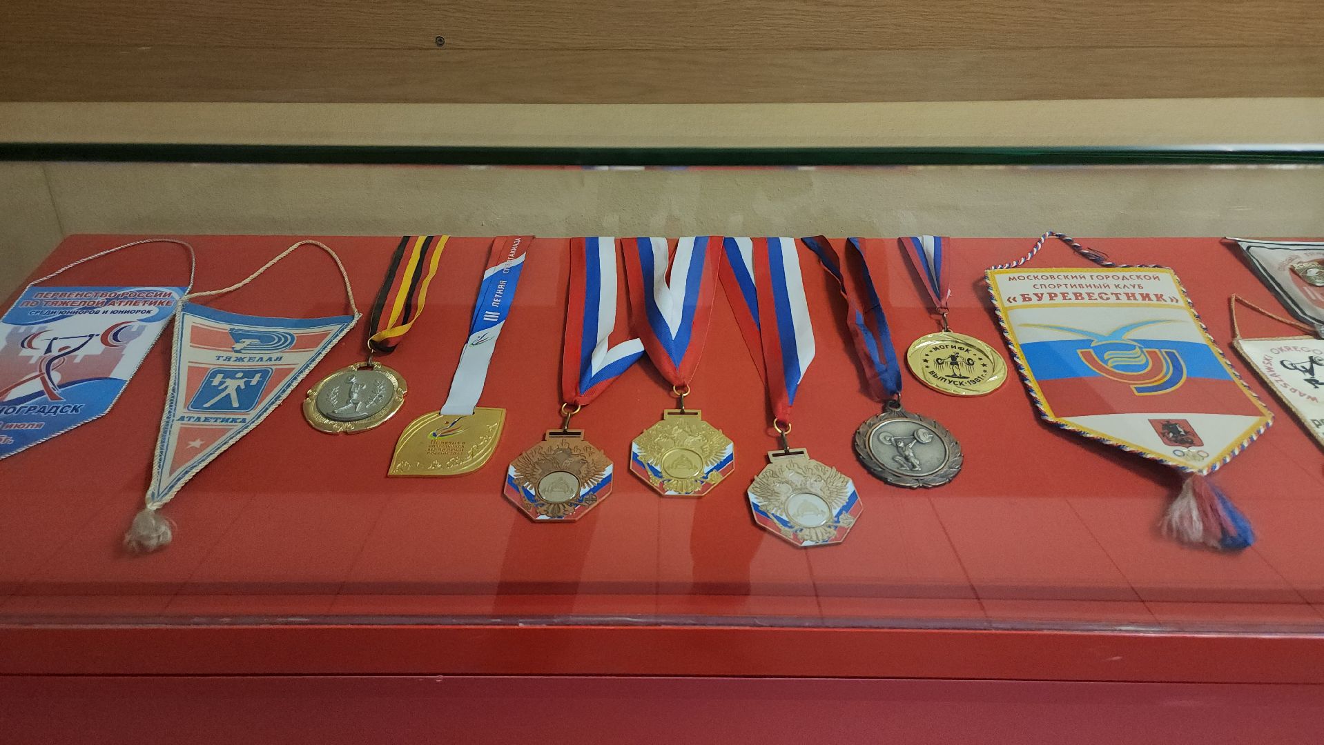 Люберцы, мгафк, выставка,