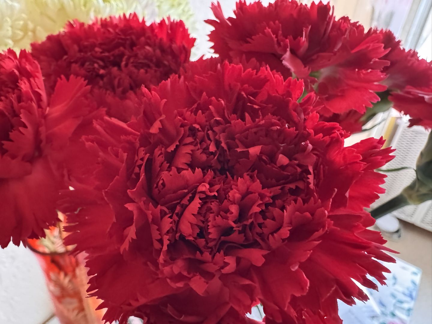 блокада ленинграда, день победы, Поздравления ветеранов,