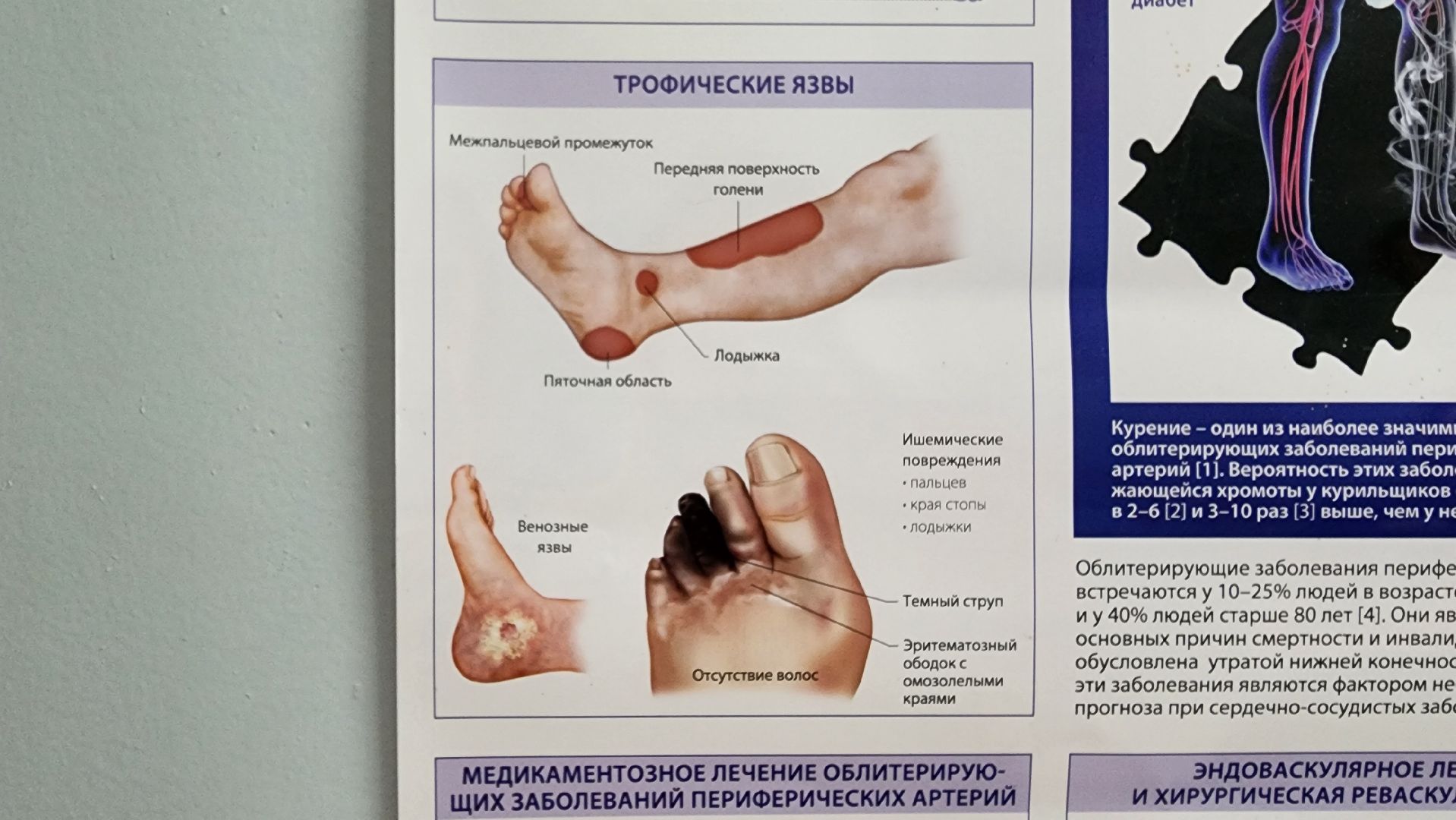 солнечногорск, медицина, хирургия, новый врач,