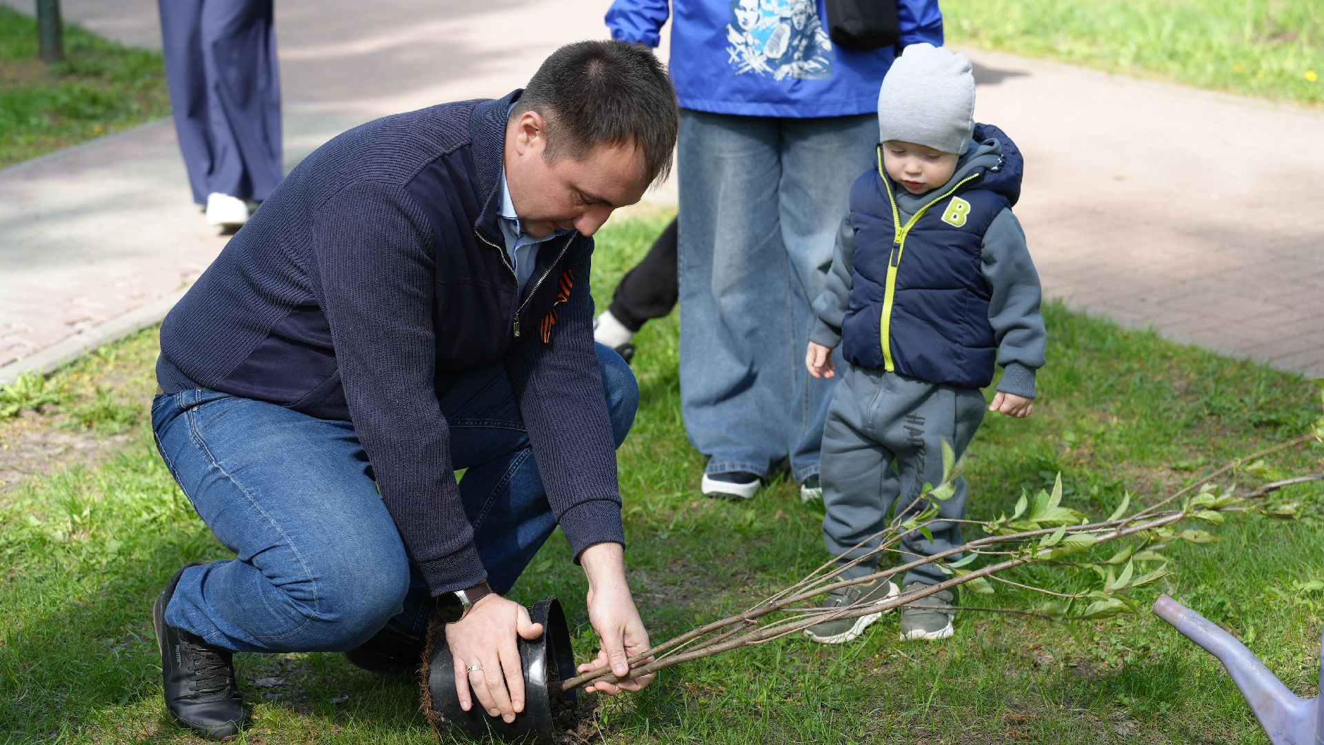 сирень, сад памяти,