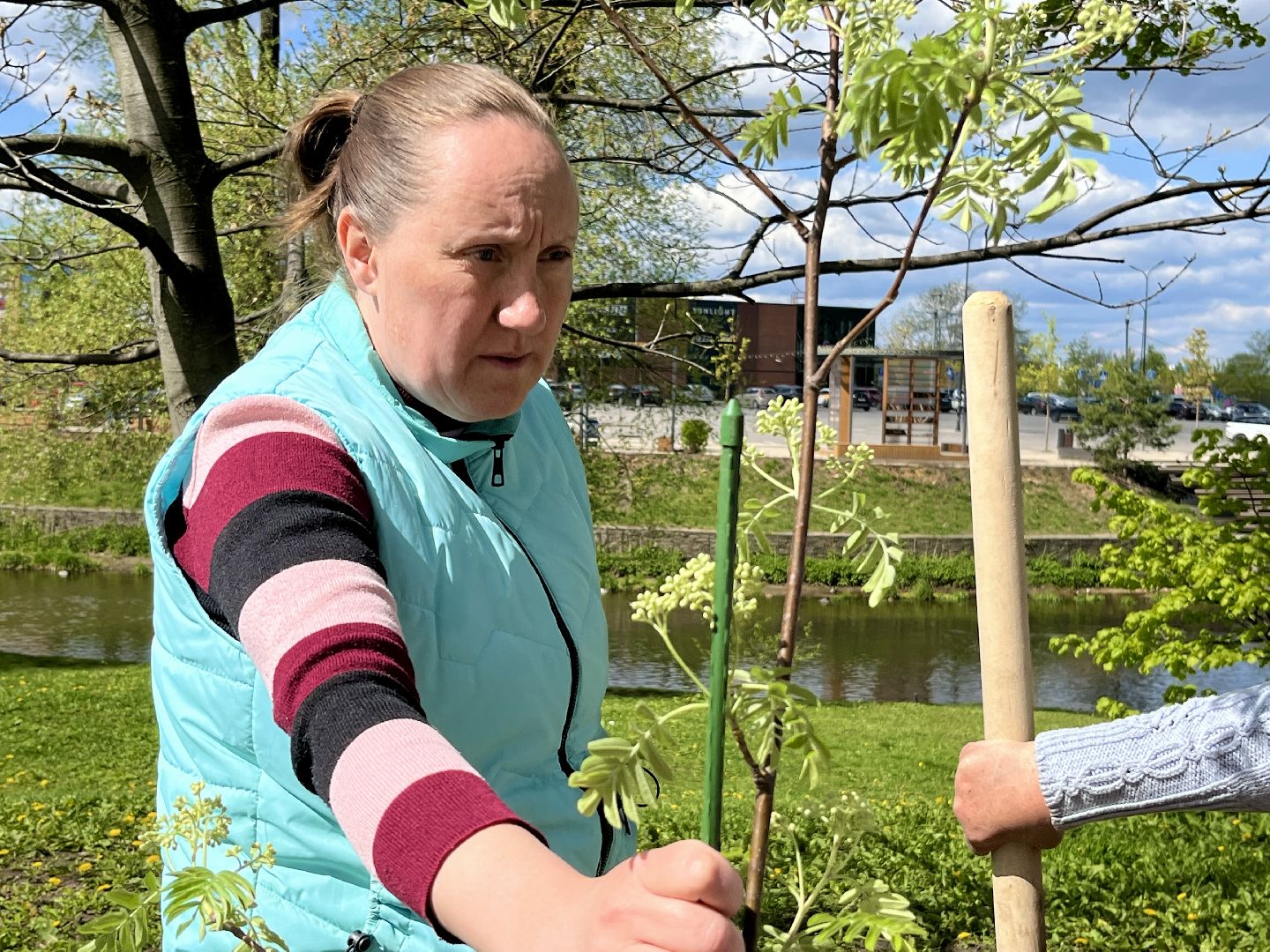 наро-фоминск, наро-фоминский городской округ, сад памяти , город воинской славы, 80 лет победе,