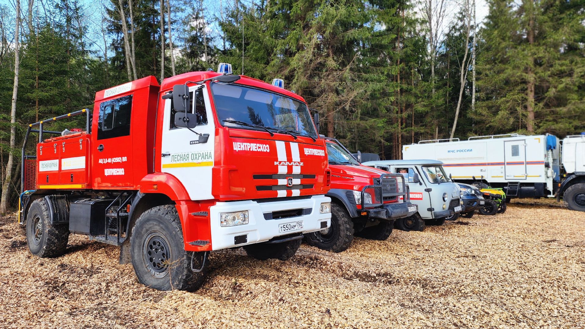 Руза, Лес памяти, Экология, Эколого-патриотическая акция,
