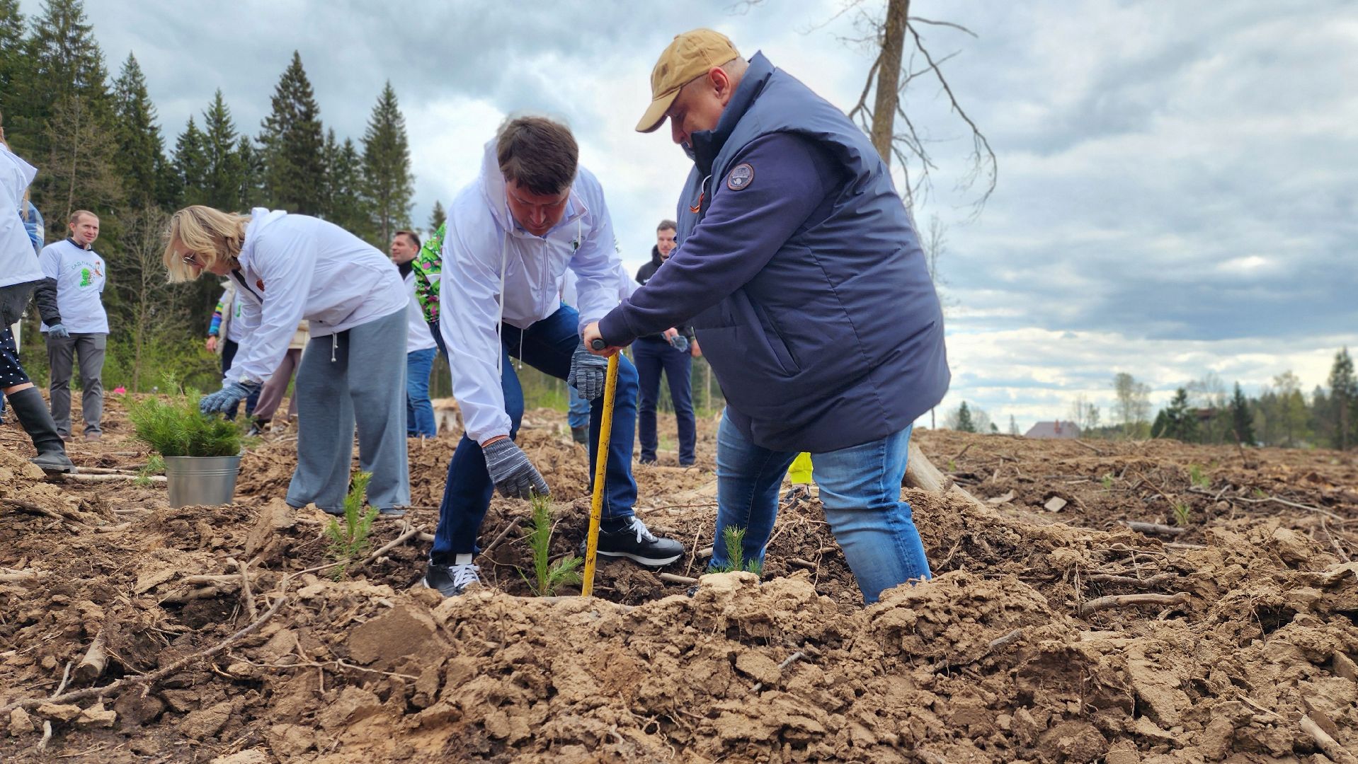 Руза, Лес памяти, Экология, Эколого-патриотическая акция,