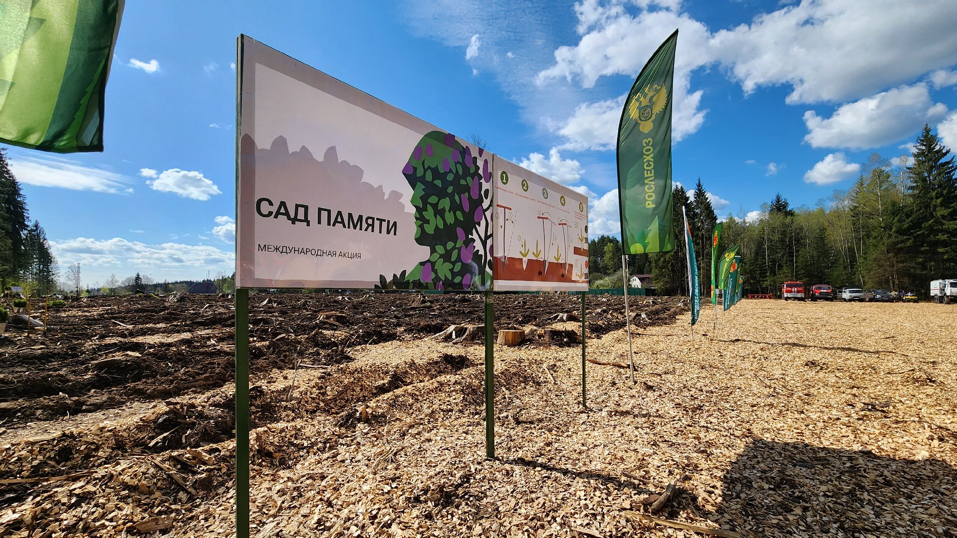 Руза, Лес памяти, Экология, Эколого-патриотическая акция,