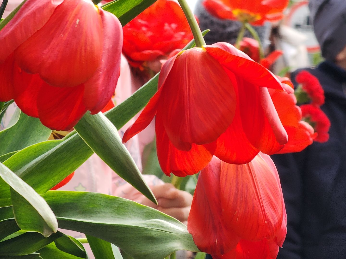 Егорьевск, Подмосковье, Московская область,