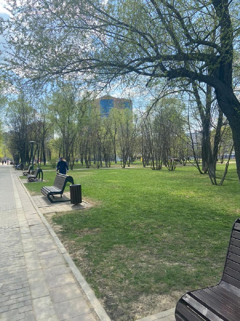 Реутов, центральный парк, клещи, обработка, природа, экология