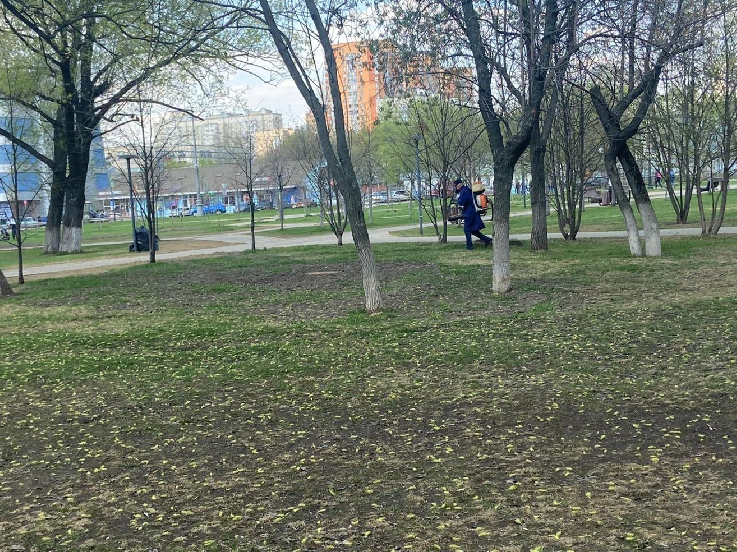 Реутов, центральный парк, клещи, обработка, природа, экология