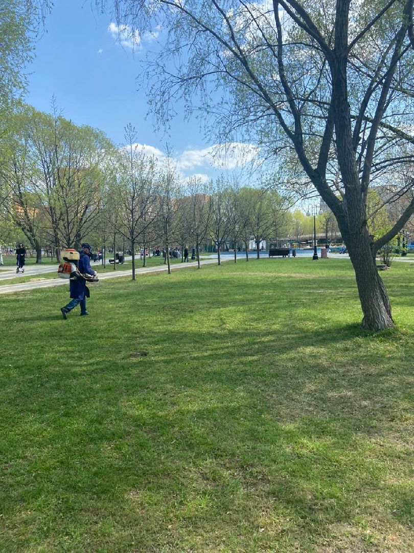 Реутов, центральный парк, клещи, обработка, природа, экология