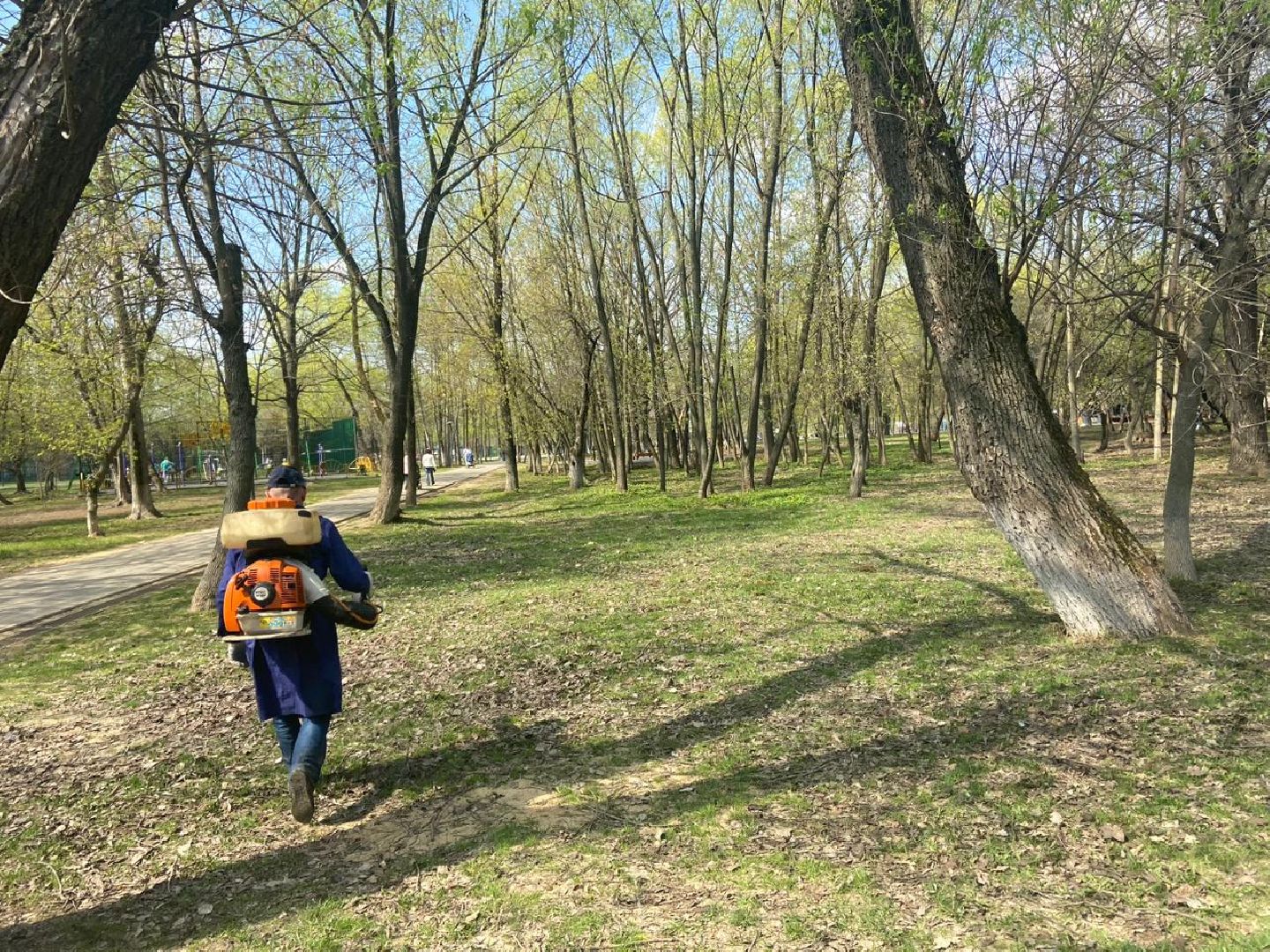 Реутов, центральный парк, клещи, обработка, природа, экология