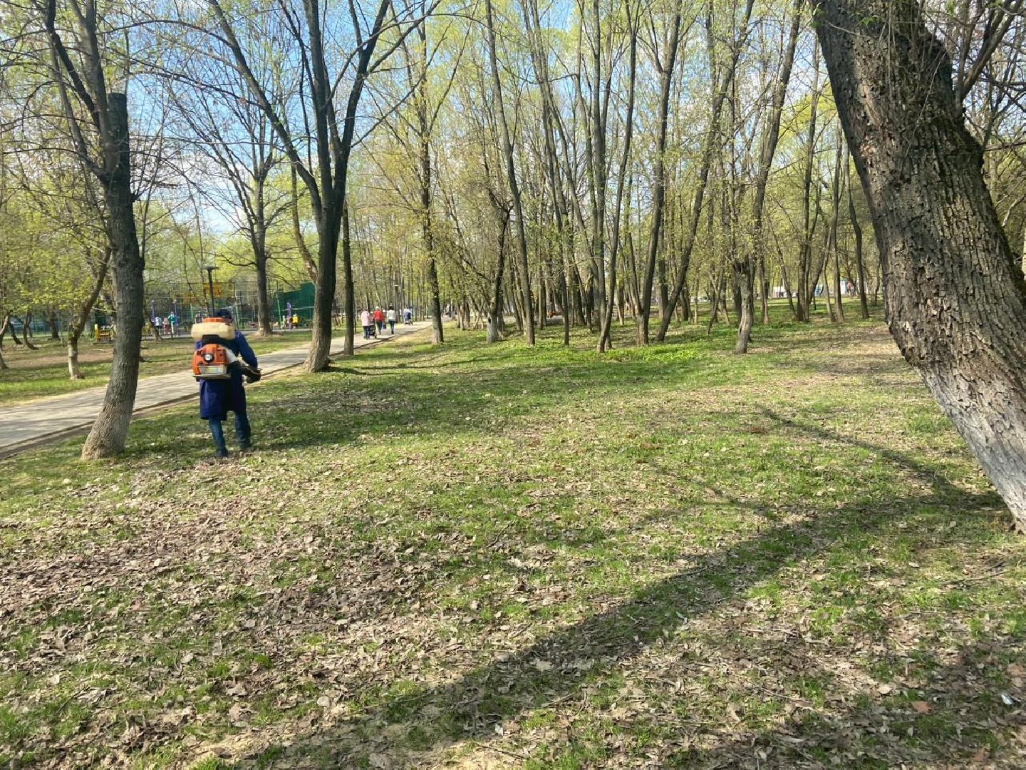 Реутов, центральный парк, клещи, обработка, природа, экология