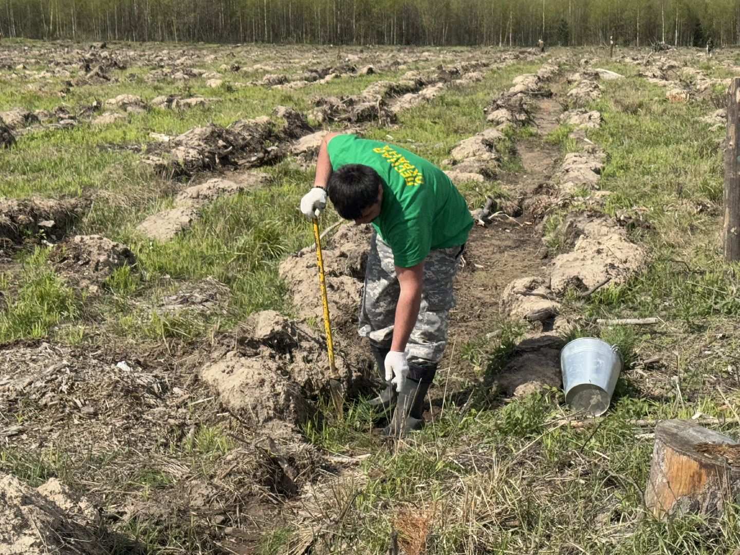 фк родина, балашиха, сад памяти,