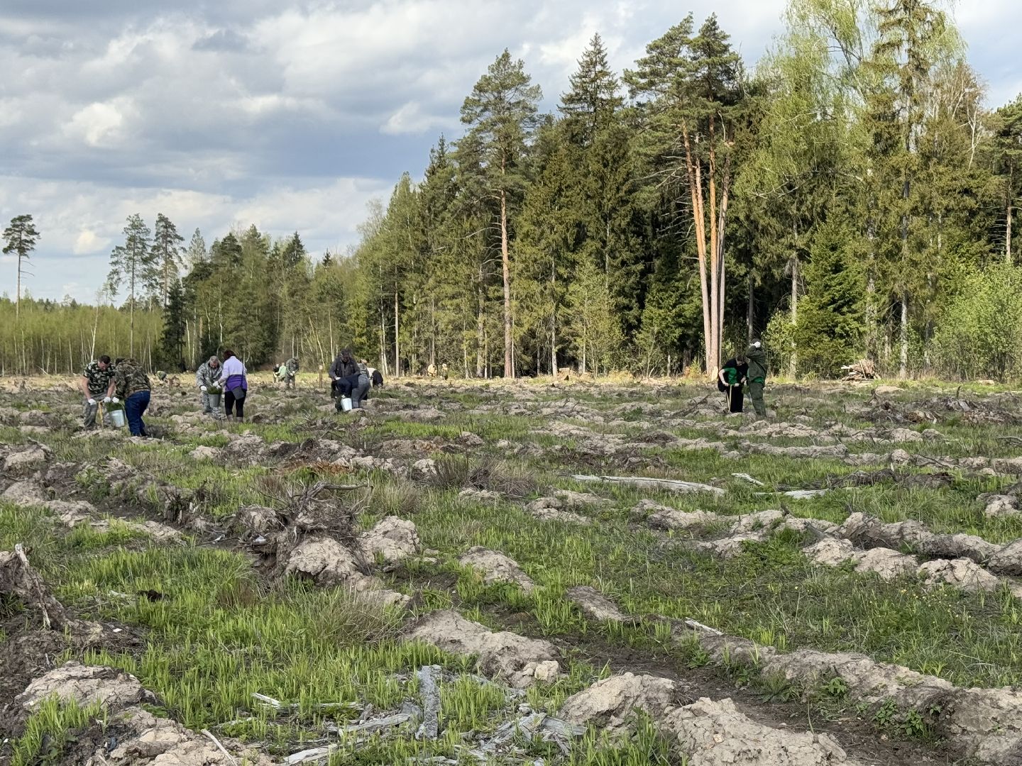 фк родина, балашиха, сад памяти,