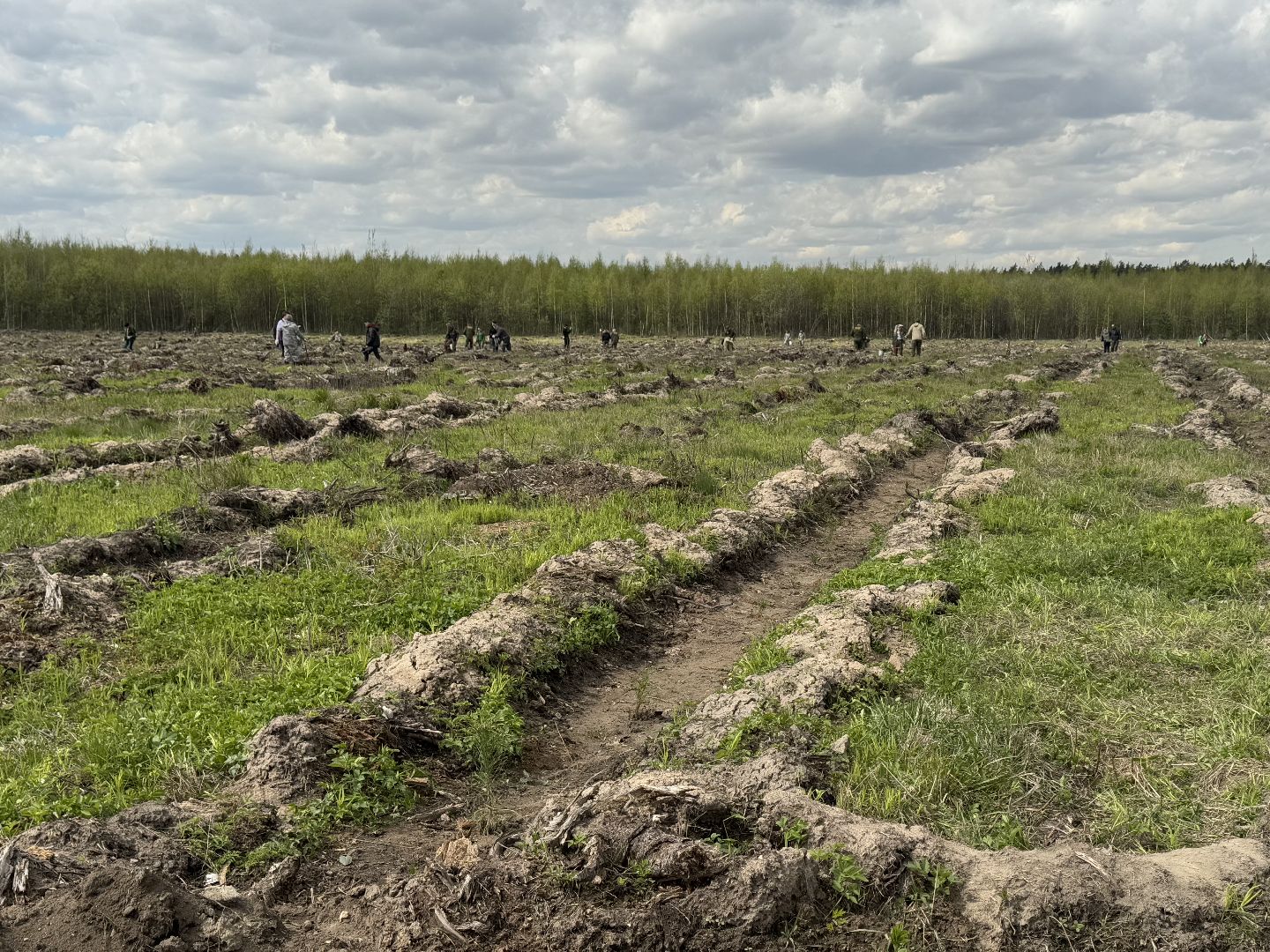 фк родина, балашиха, сад памяти,