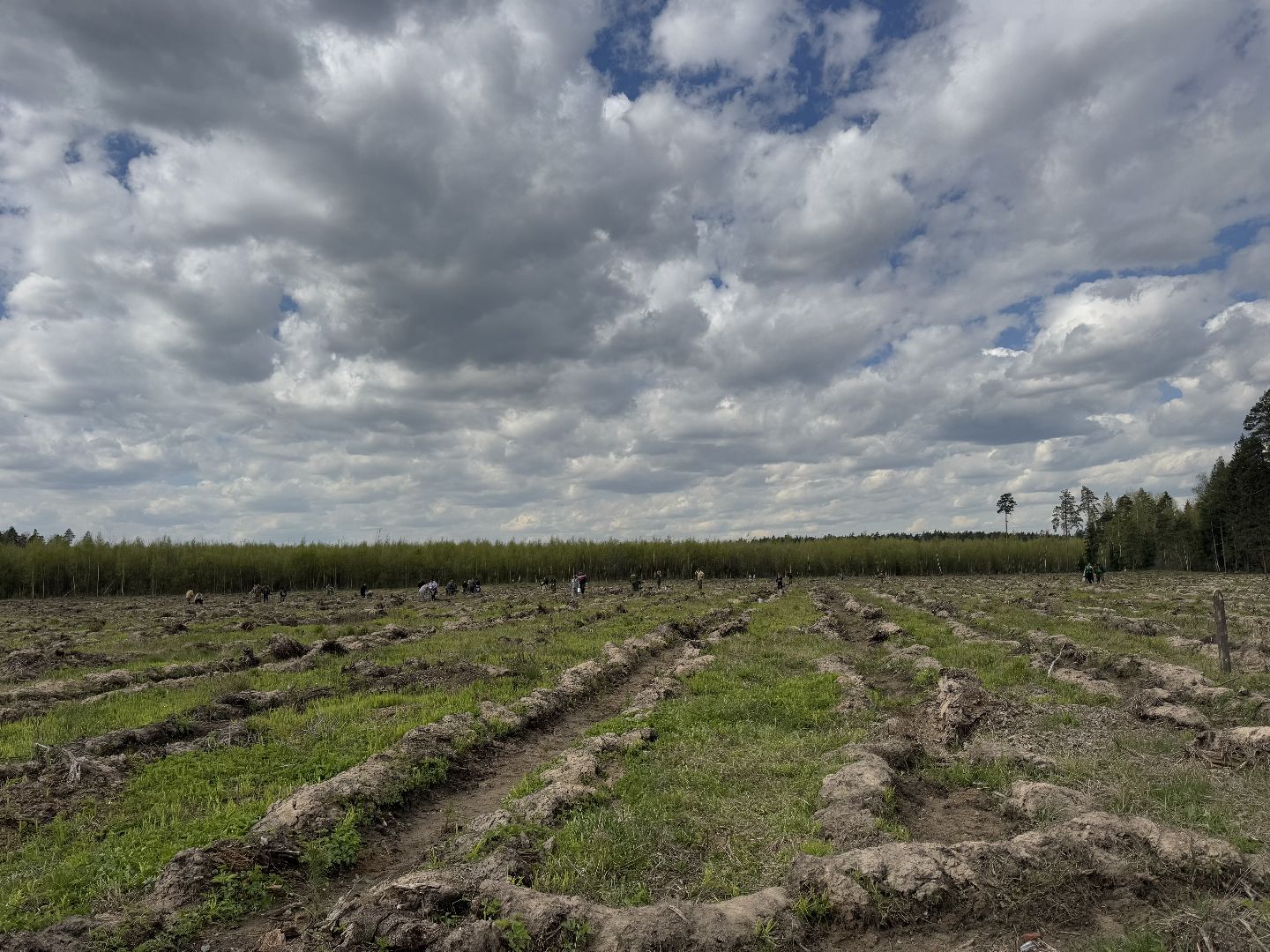 фк родина, балашиха, сад памяти,