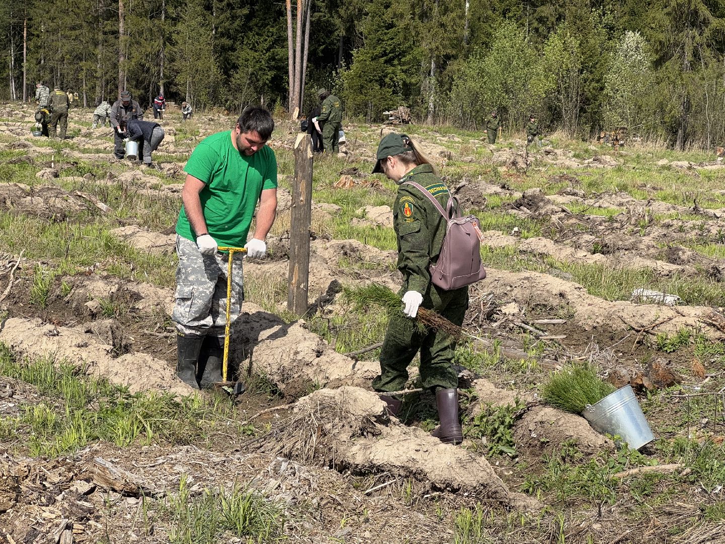 фк родина, балашиха, сад памяти,