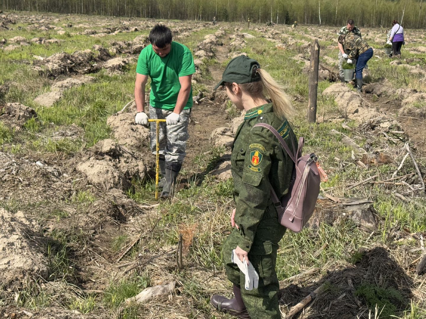фк родина, балашиха, сад памяти,