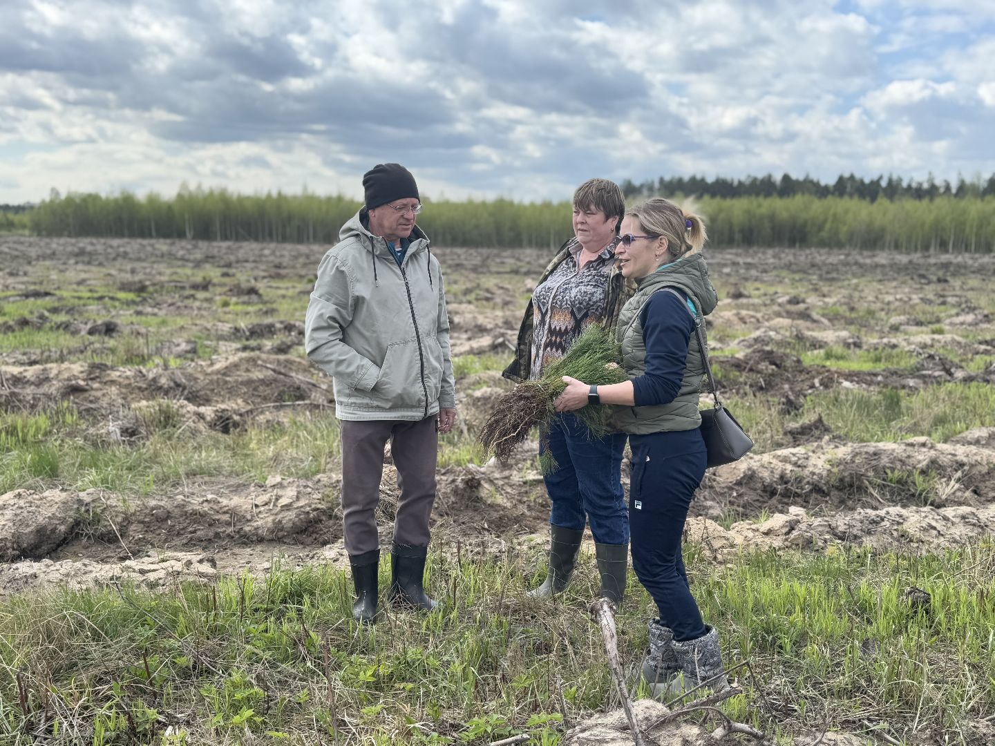 фк родина, балашиха, сад памяти,