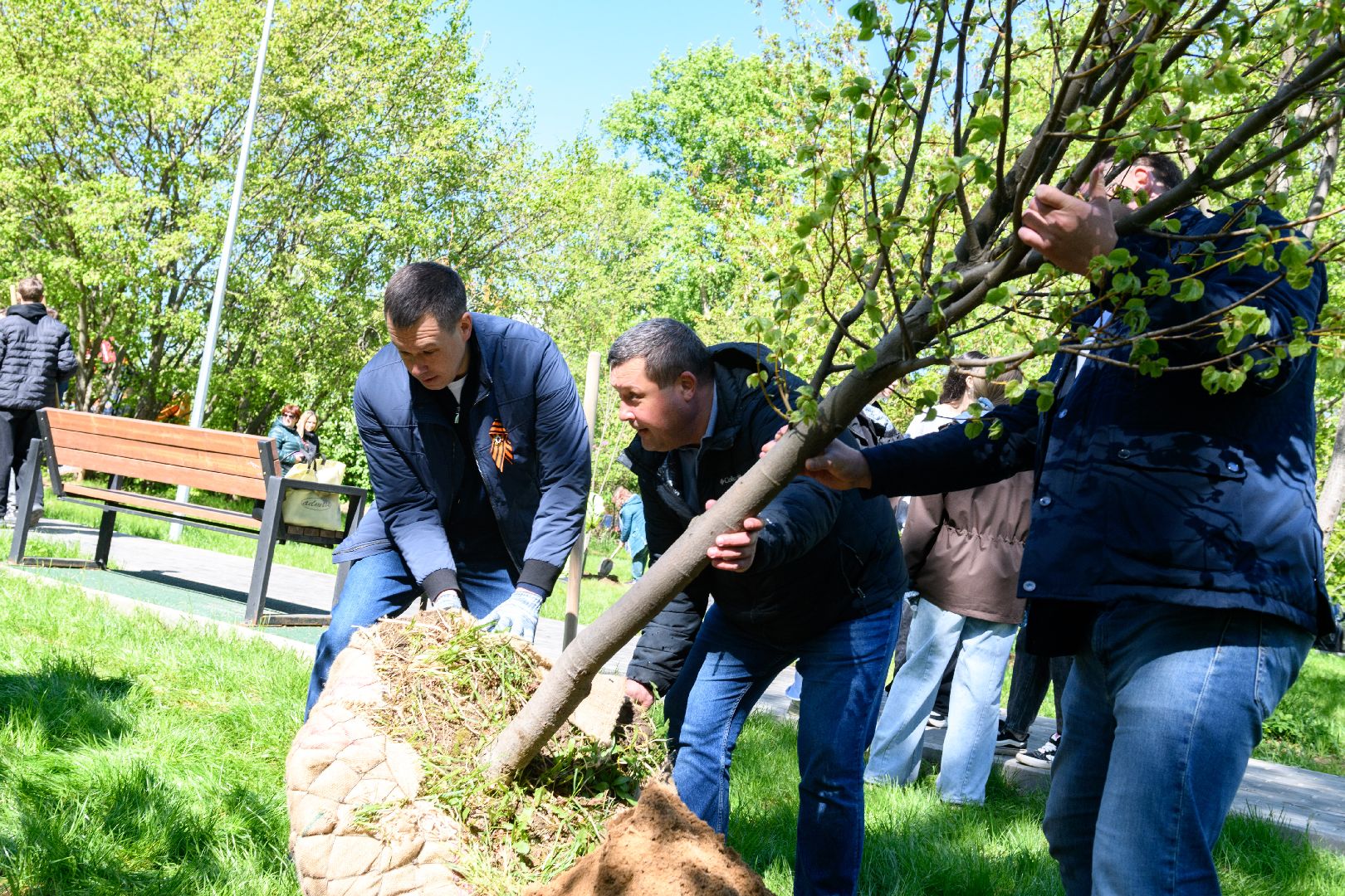лыткарино, сад памяти, общество, патриотизм, акция сад памяти,