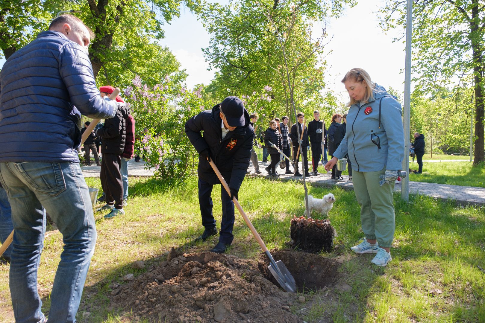 лыткарино, сад памяти, общество, патриотизм, акция сад памяти,